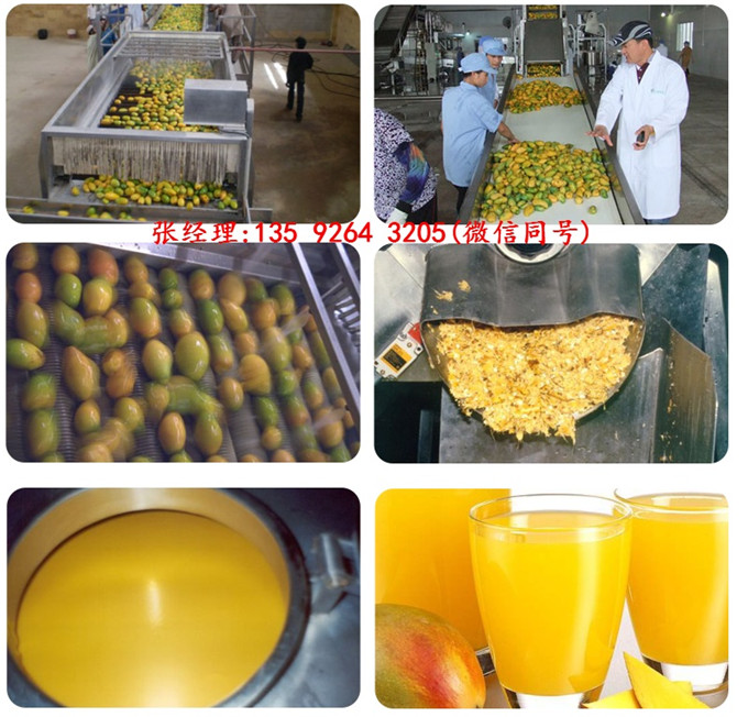 全套果汁飲料設備廠家|果汁飲料生產線價格